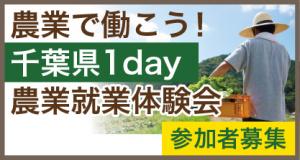 千葉県「農業で働こう!就農体験会」