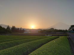 ぐり茶の五十鈴園　（鈴木製茶）