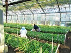 株式会社クロカワストック＜正社員募集＞