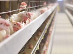 株式会社トマル