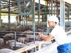 曽我の屋農興株式会社