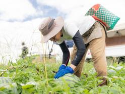 株式会社あぐりライフデザイン