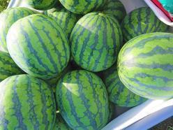 株式会社あぐりライフデザイン