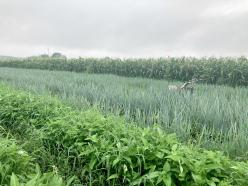 11月24日（月・祝）女性のための1day就農体験 in さいたま