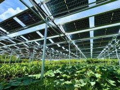 EGファーム株式会社