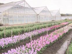 株式会社クロカワストック＜パート募集＞