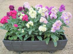 株式会社クロカワストック＜パート募集＞